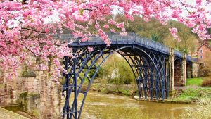 Webサイトを開設しました